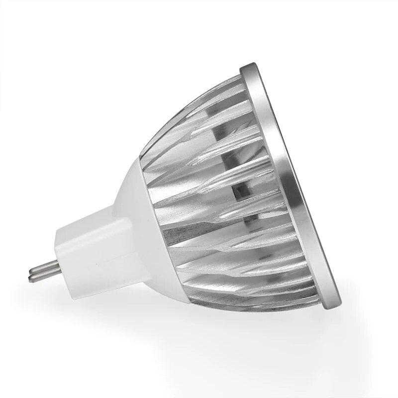 Ampoule led vintage maison