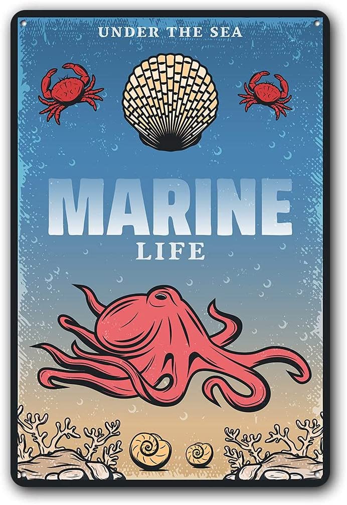 Poster Marine Vintage