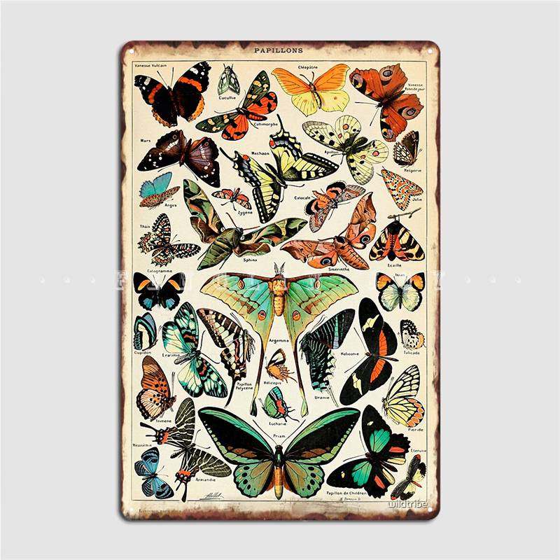 Poster Vintage Papillons