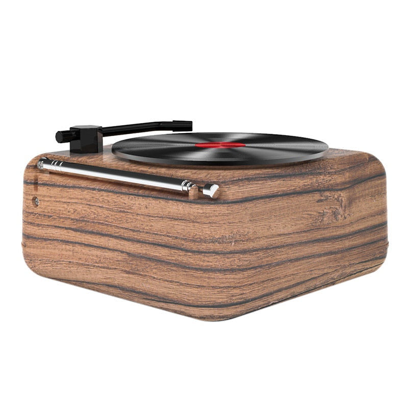 Tourne disque vintage style