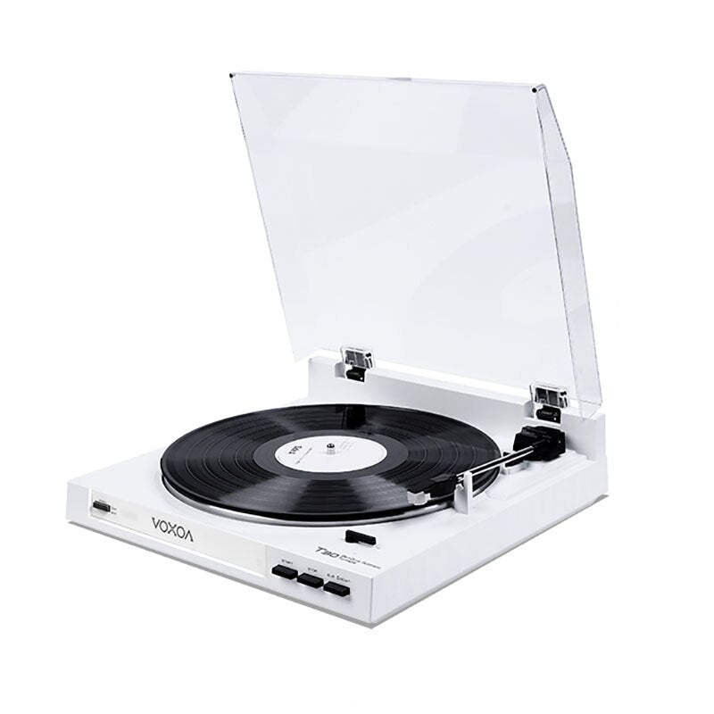 Tournes disques vintages