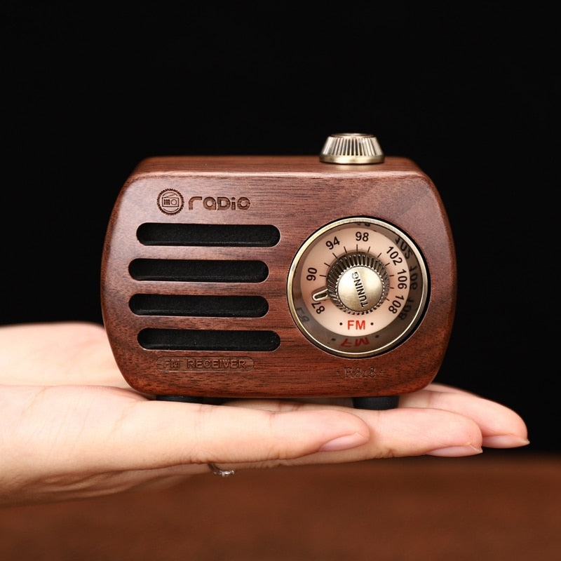 Mini Enceinte Autonome Radio Vintage