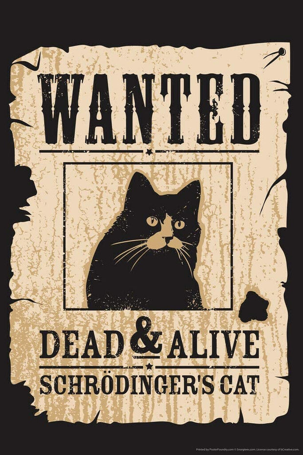 Poster Original Vintage