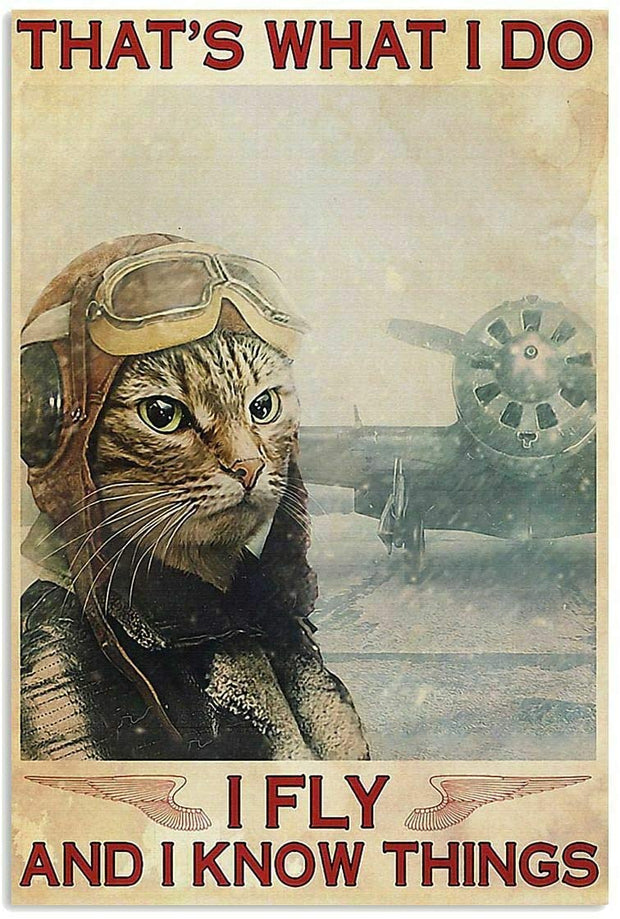Poster Original Vintage
