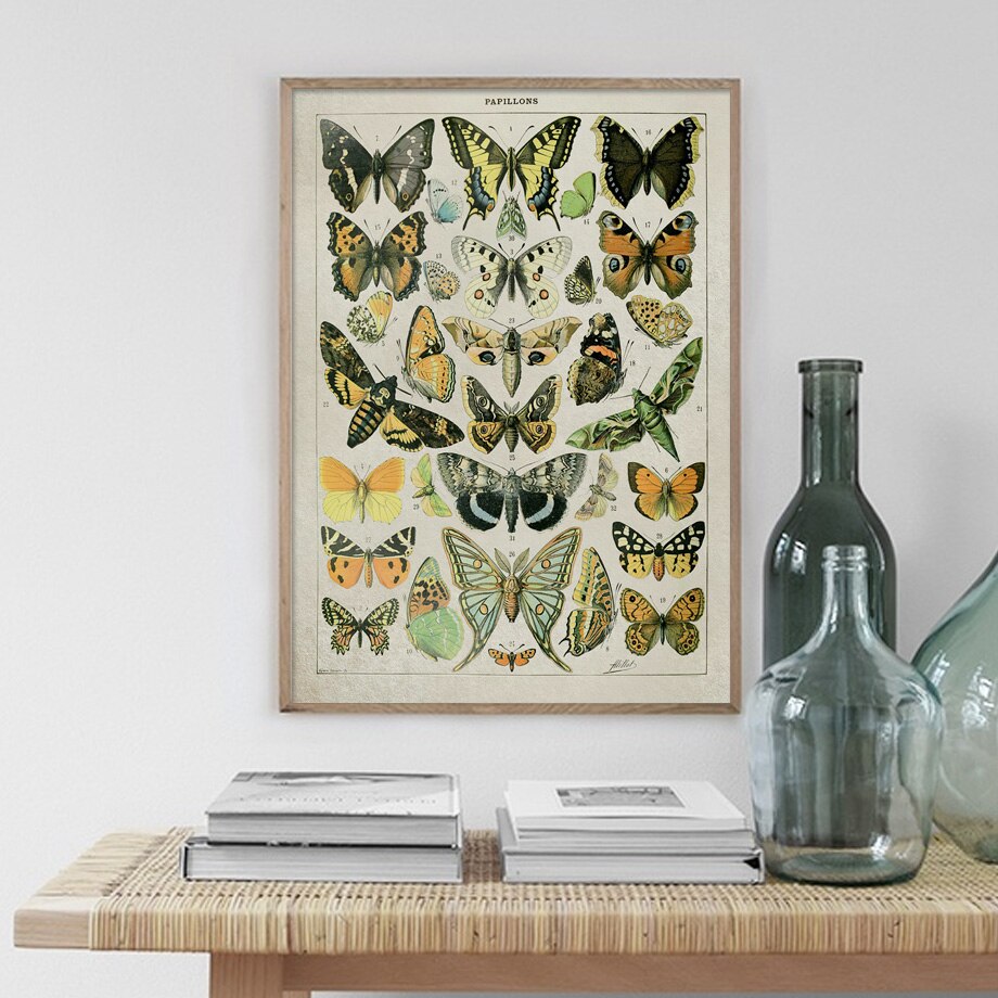 Poster Papillon Vintage
