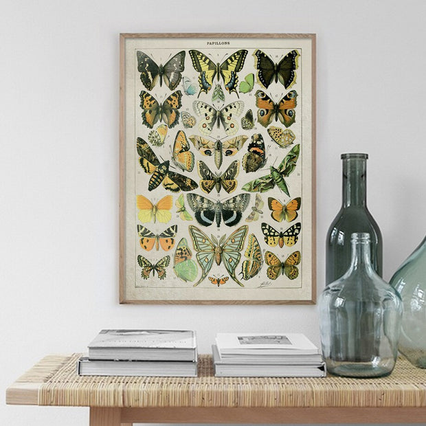 Poster Papillon Vintage