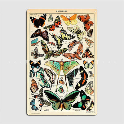 Poster Vintage Papillons