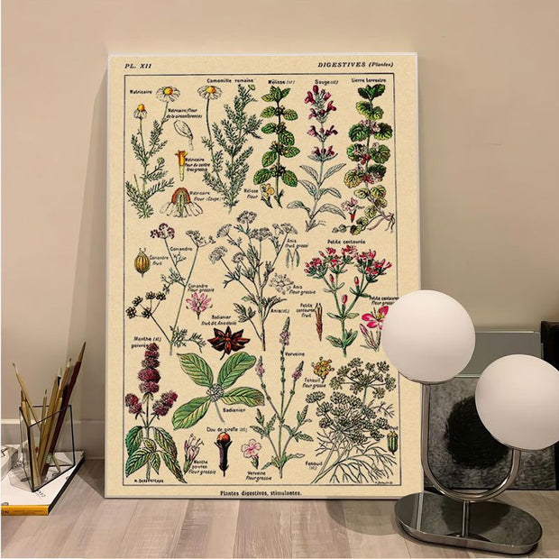 Poster Vintage Plante