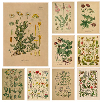 Poster Vintage Plante