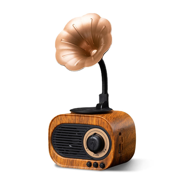 Tourne Disque Vintage Avec Corne